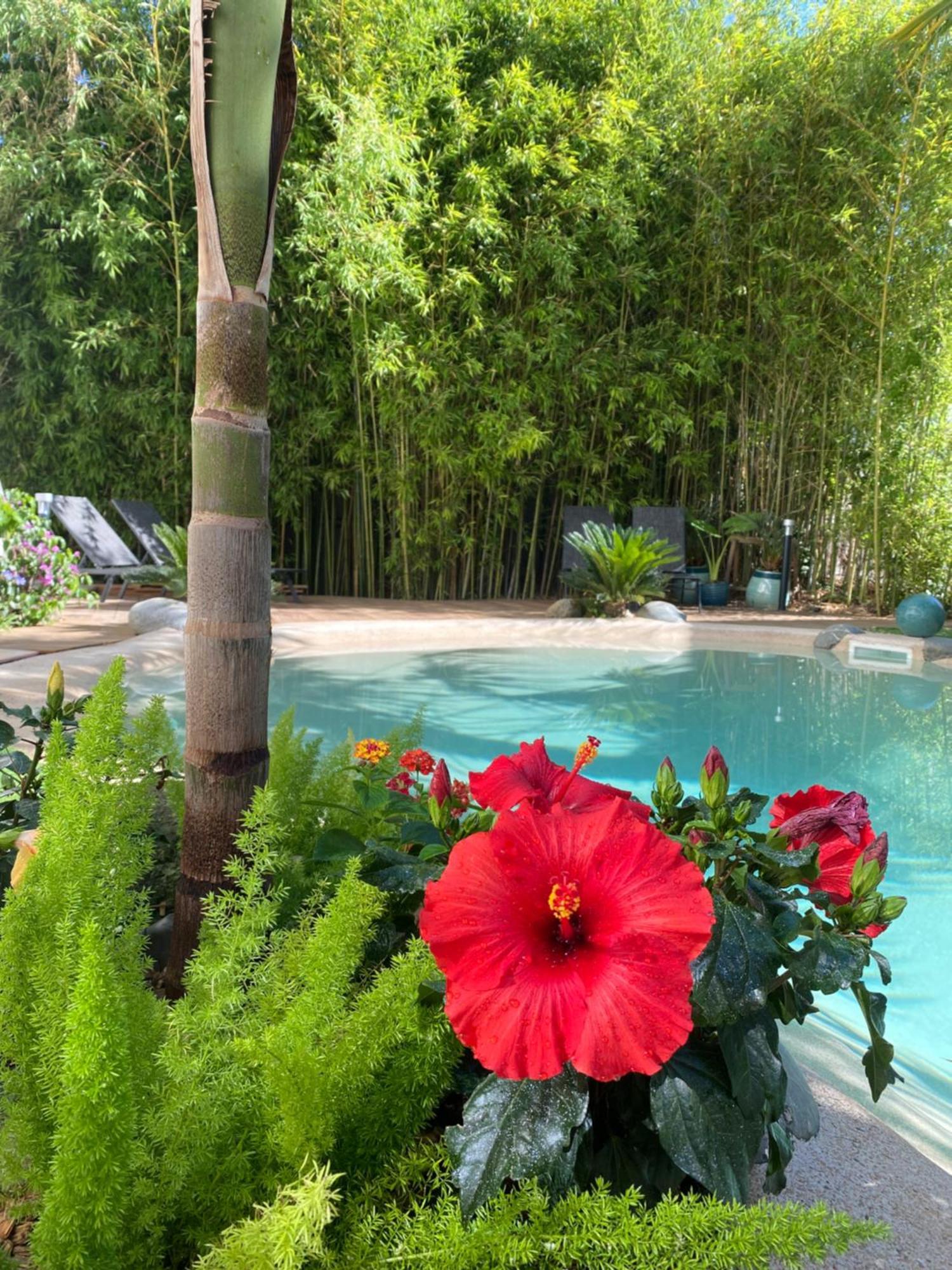 Appt Ambiance Chalet 2Ch Piscine Lagon Apartment Тарб Екстериор снимка